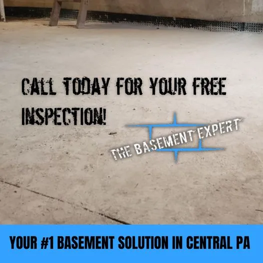 The Basement Expert Picture 4