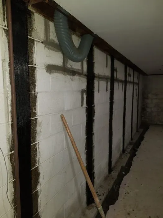 The Basement Expert Picture 10