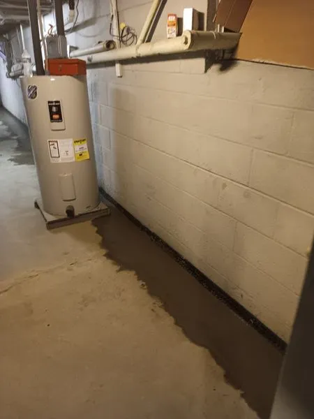 The Basement Expert Picture 8