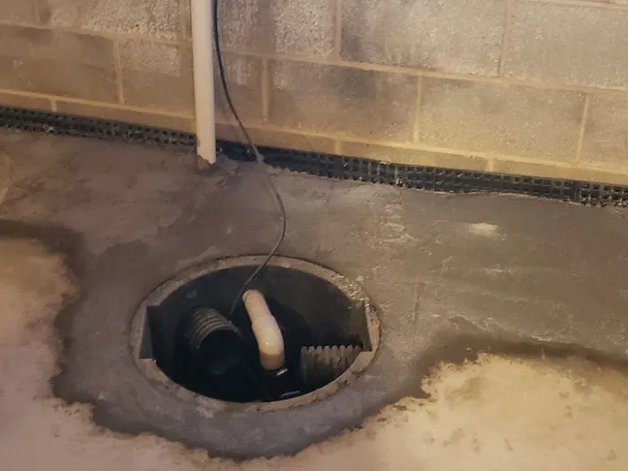 The Basement Expert Picture 6