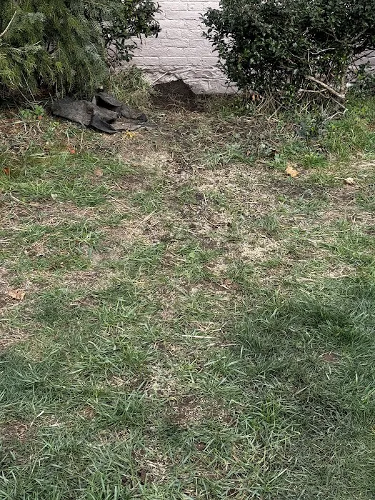 The Basement Expert Picture 3