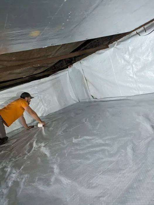 The Basement Expert Picture 5