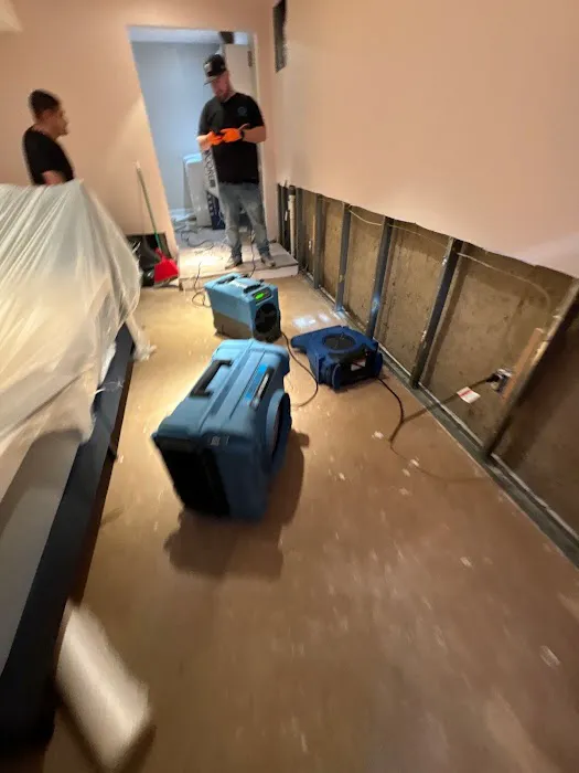 Dry Time Restoration Picture 4