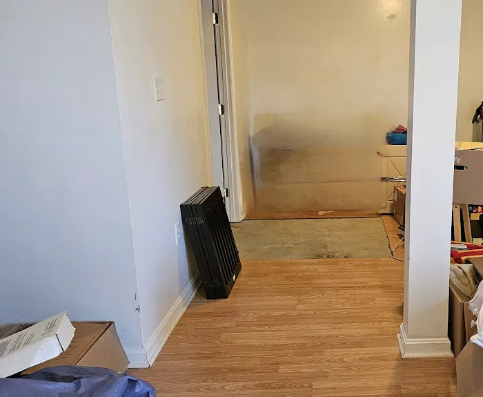 Dry Time Restoration Picture 8