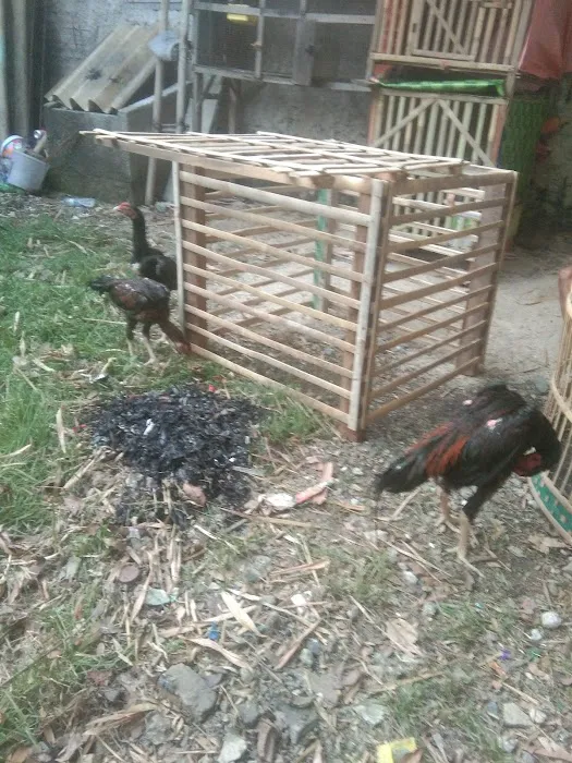 Dry Time Restoration Picture 7