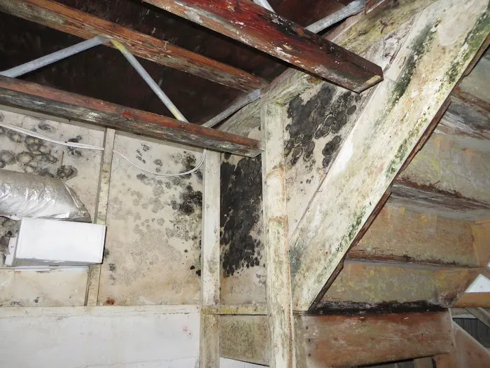 Drying Tech of PWC Picture 4