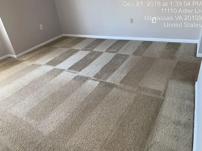 Clean Master Carpet Cleaning & Water Damage Restoration Picture 4