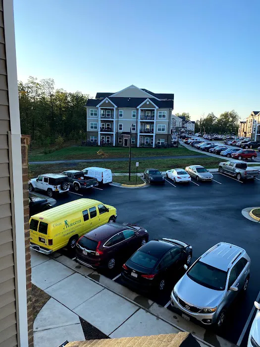 Clean Master Carpet Cleaning & Water Damage Restoration Picture 9