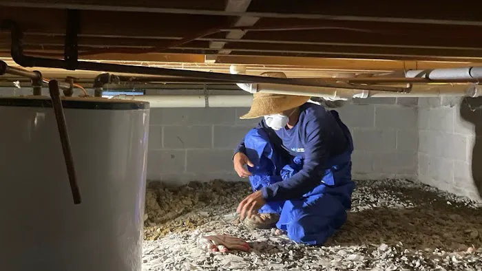 NV Waterproofing & Foundation Repair Picture 9