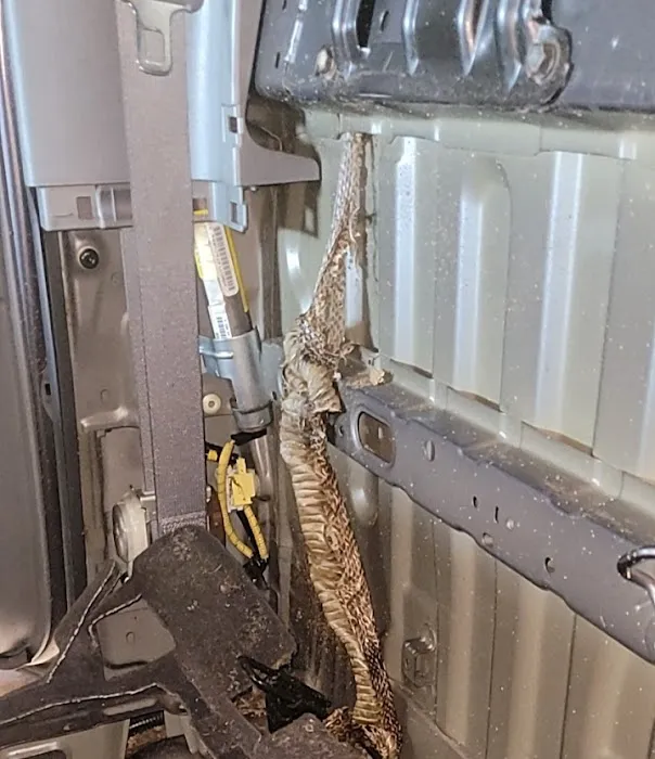 SERVPRO of Rockingham and Augusta Counties Picture 2