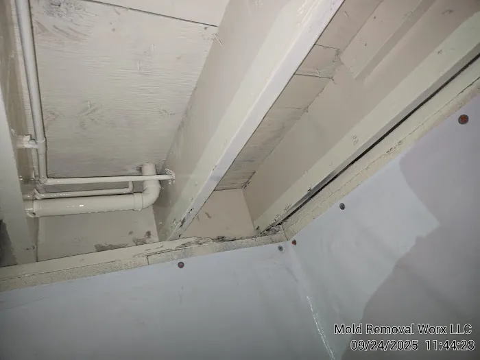 Mold Removal Worx LLC Picture 2