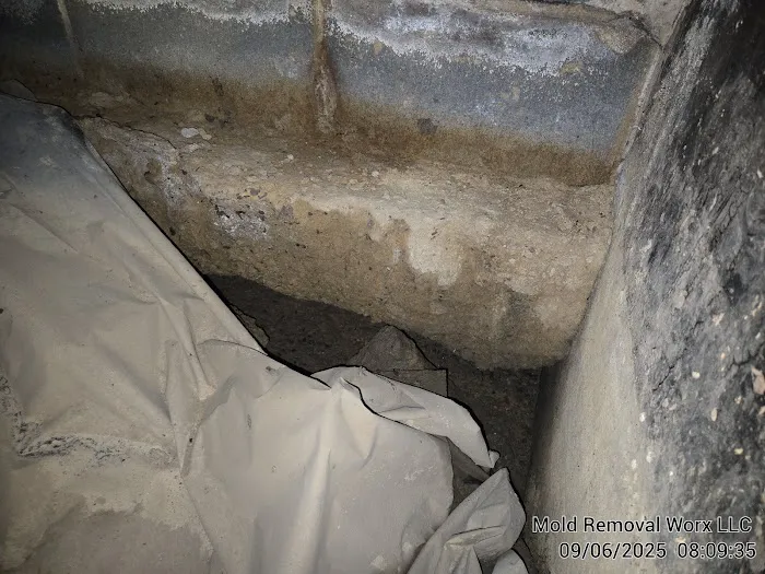 Mold Removal Worx LLC Picture 5