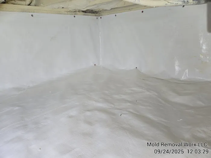 Mold Removal Worx LLC Picture 1