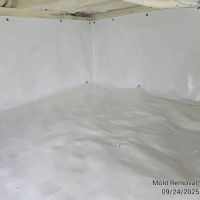 Mold Removal Worx LLC ico