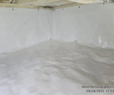 Mold Removal Worx LLC