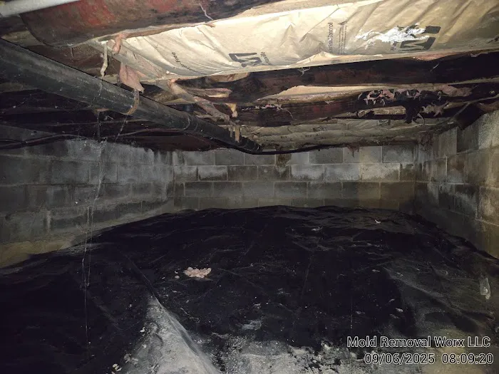 Mold Removal Worx LLC Picture 4