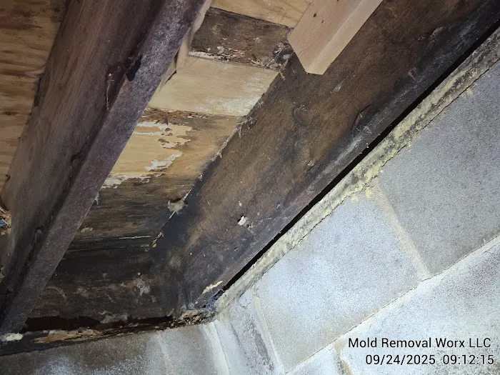 Mold Removal Worx LLC Picture 6