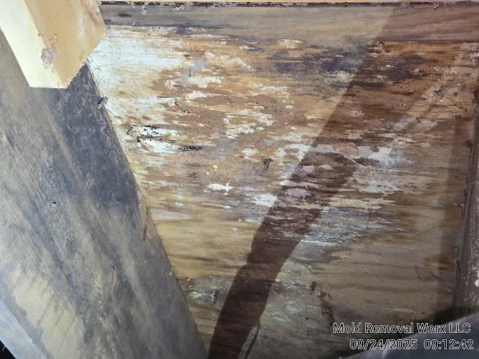 Mold Removal Worx LLC Picture 3