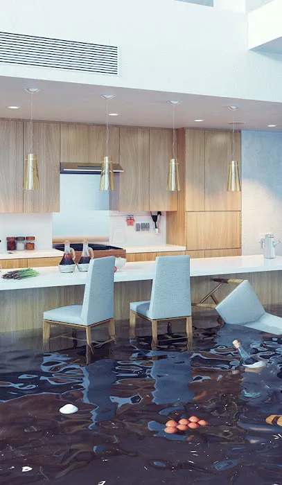 Restoration 1 of Charlottesville Picture 5