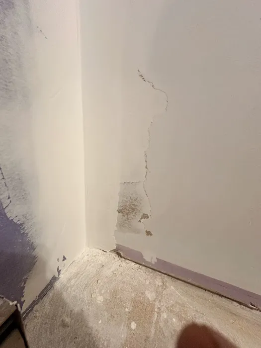 ZND-AKK Mold Removal & Mold Remediation Service Of PA Picture 6