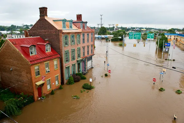 Tuckey Restoration Inc. Picture 6