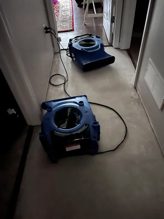 Mason-Dixon Restoration Picture 3