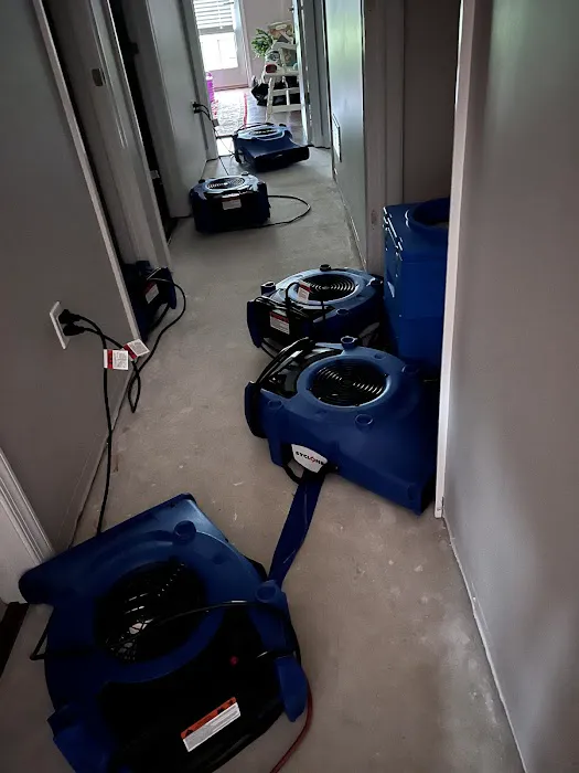 Mason-Dixon Restoration Picture 4