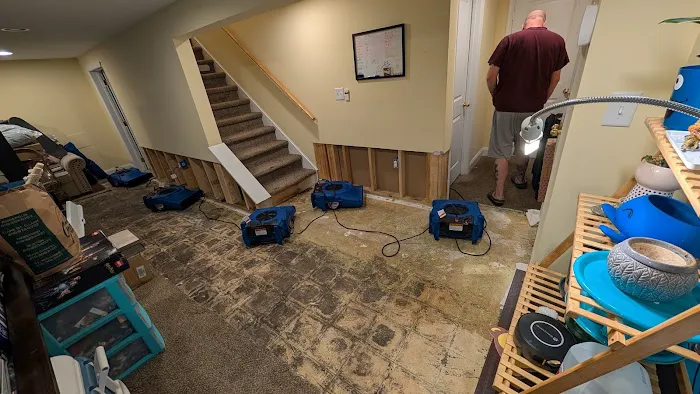 Mason-Dixon Restoration Picture 6