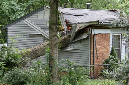 Clean Sweep Enterprises, Inc. Picture 9