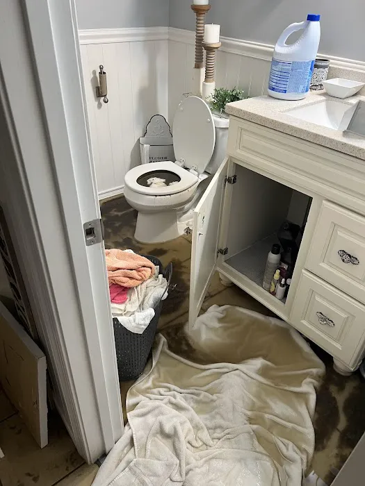 Impeccable Water Damage Restoration Picture 4