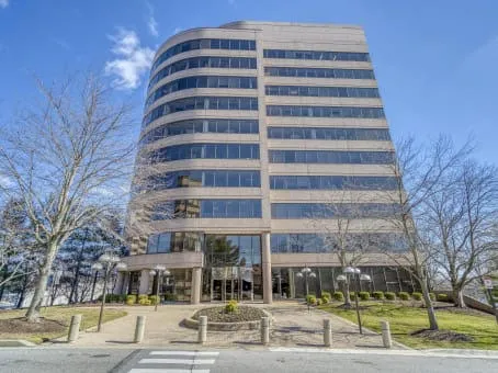 First & Last Restoration Picture 3