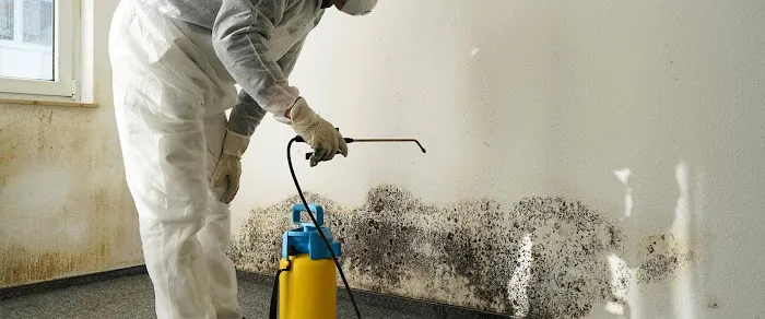 RTech Restoration, LLC Picture 1