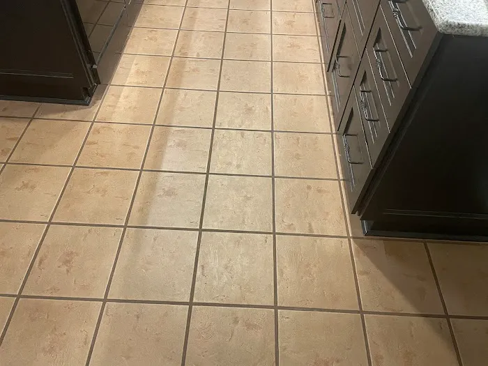 Stanley Steemer Picture 6