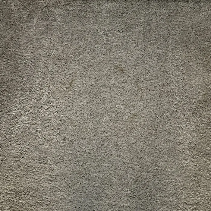 Stanley Steemer Picture 4