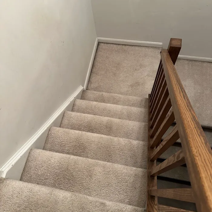 Stanley Steemer Picture 1