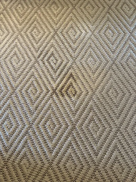 Stanley Steemer Picture 10