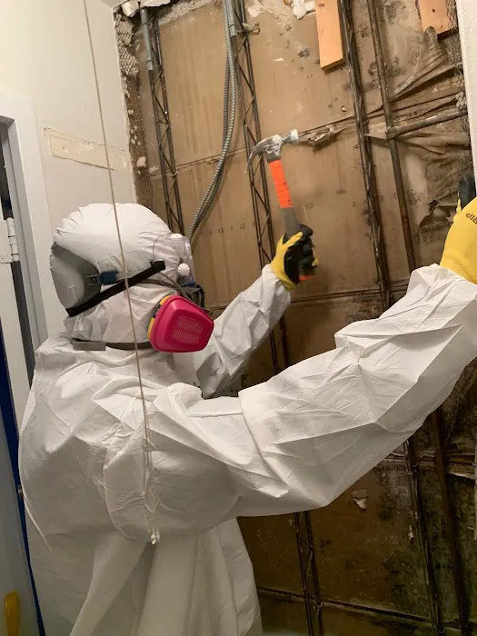 We Restoration Picture 1