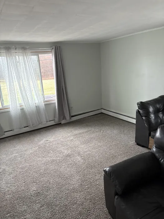 Stanley Steemer Picture 2