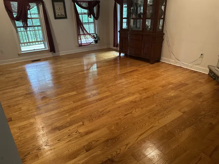 Stanley Steemer Picture 4