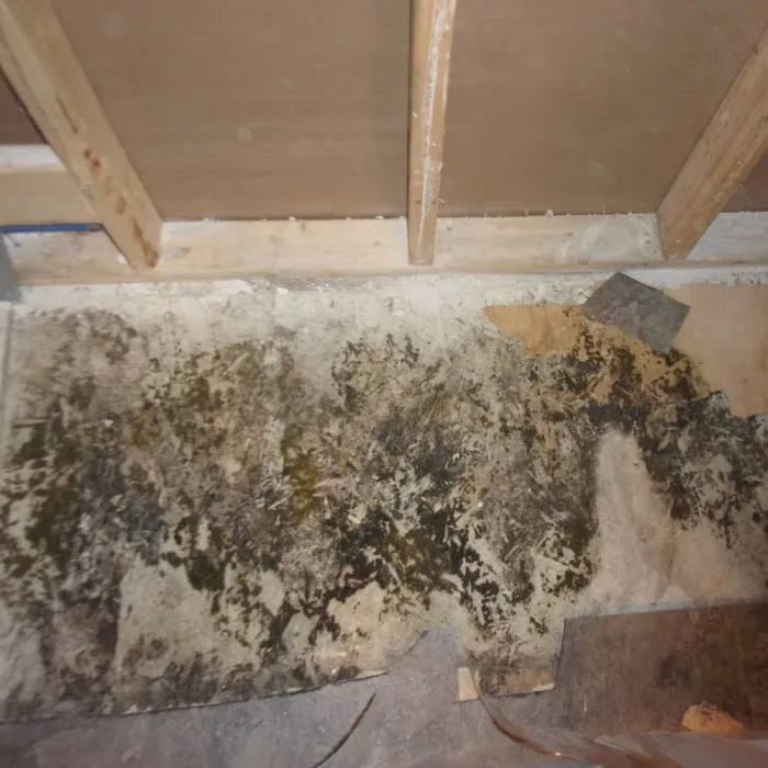 Disaster Blaster of Scranton & Wilkes-Barre Picture 9