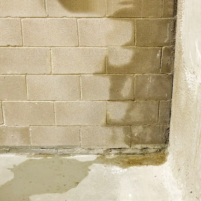 Disaster Blaster of Scranton & Wilkes-Barre Picture 6