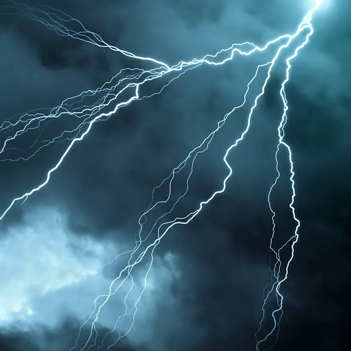 Disaster Blaster of Scranton & Wilkes-Barre Picture 4