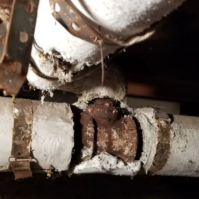 Disaster Blaster of Scranton & Wilkes-Barre Picture 7