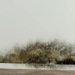 Disaster Blaster of Scranton & Wilkes-Barre