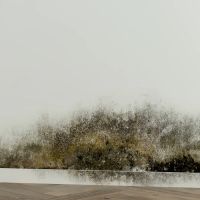 Disaster Blaster of Scranton & Wilkes-Barre ico