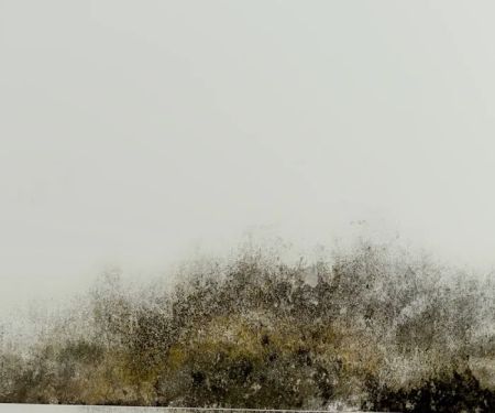 Disaster Blaster of Scranton & Wilkes-Barre