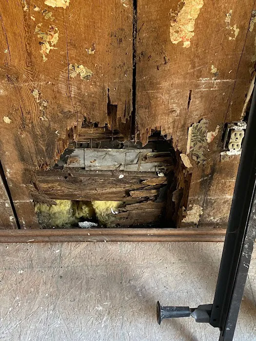 Advanced Disaster Recovery Inc. Picture 7