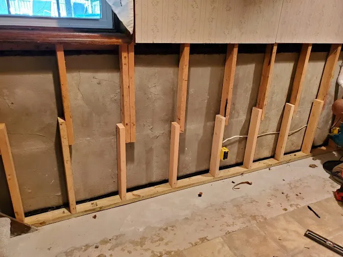 Pocono Mold Control Picture 10