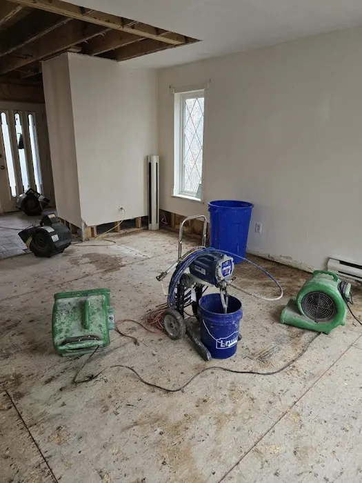 Pocono Mold Control Picture 5