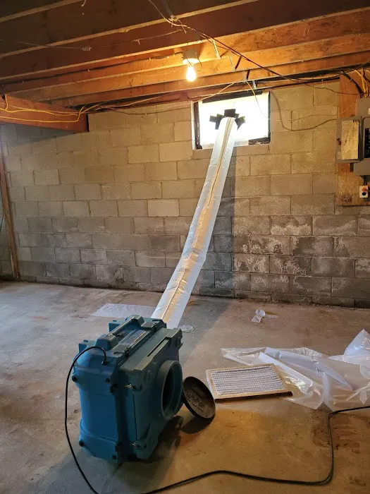 Pocono Mold Control Picture 9